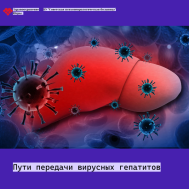 Пути передачи вирусных гепатитов