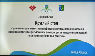 Организация деятельности по профилактике суицидального поведения несовершеннолетних с разъяснениями факторов риска поведенческих реакций и алгоритма собственных действий